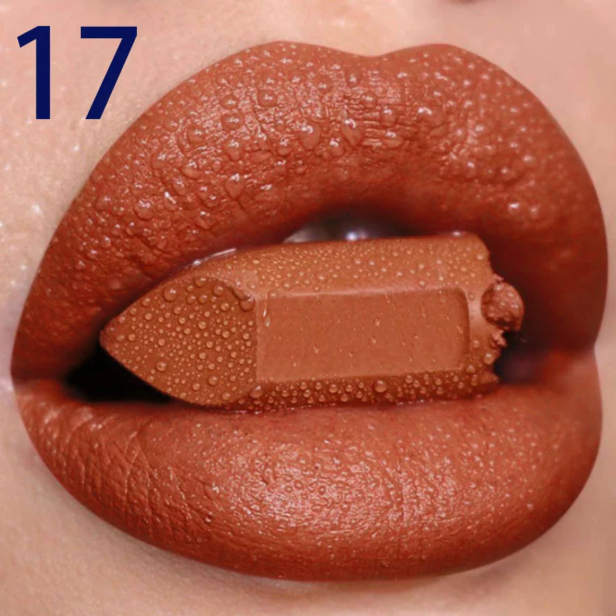 Velvet Matte Lipstick-17